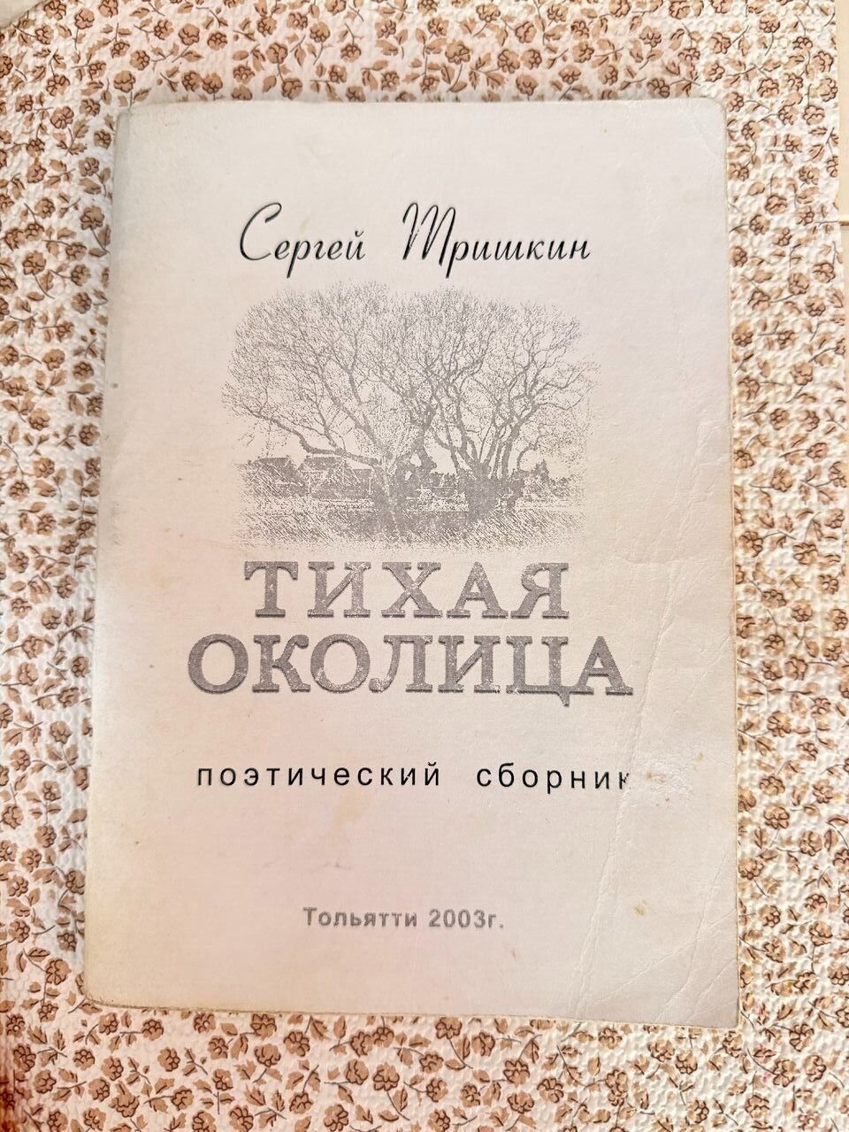Обложка поэтического сборника Сергея Тришкина «Тихая околица», Тольятти, 2003